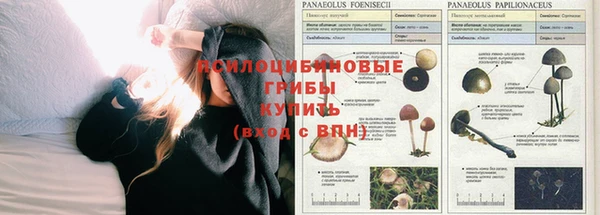 гидропоника Надым