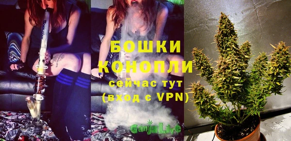молекула духа Навашино
